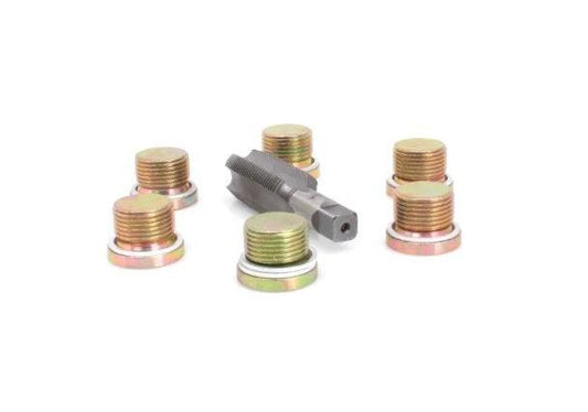 Set Kit reparatie filet buson ulei M20x1.5