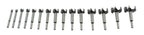 Set burghiu freze gaurit lemn 15 piese 10-50mm - Bjc tools