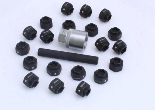 Trusa chei demontare antifurt prezoane BMW 22 piese Profesional - Bjc tools