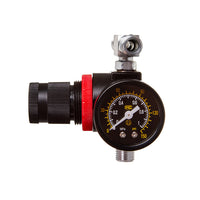 Pistol de vopsit pneumatic | 10L, pompa de vopsit, reductor de presiune cu manometru pentru vopsire eficienta.