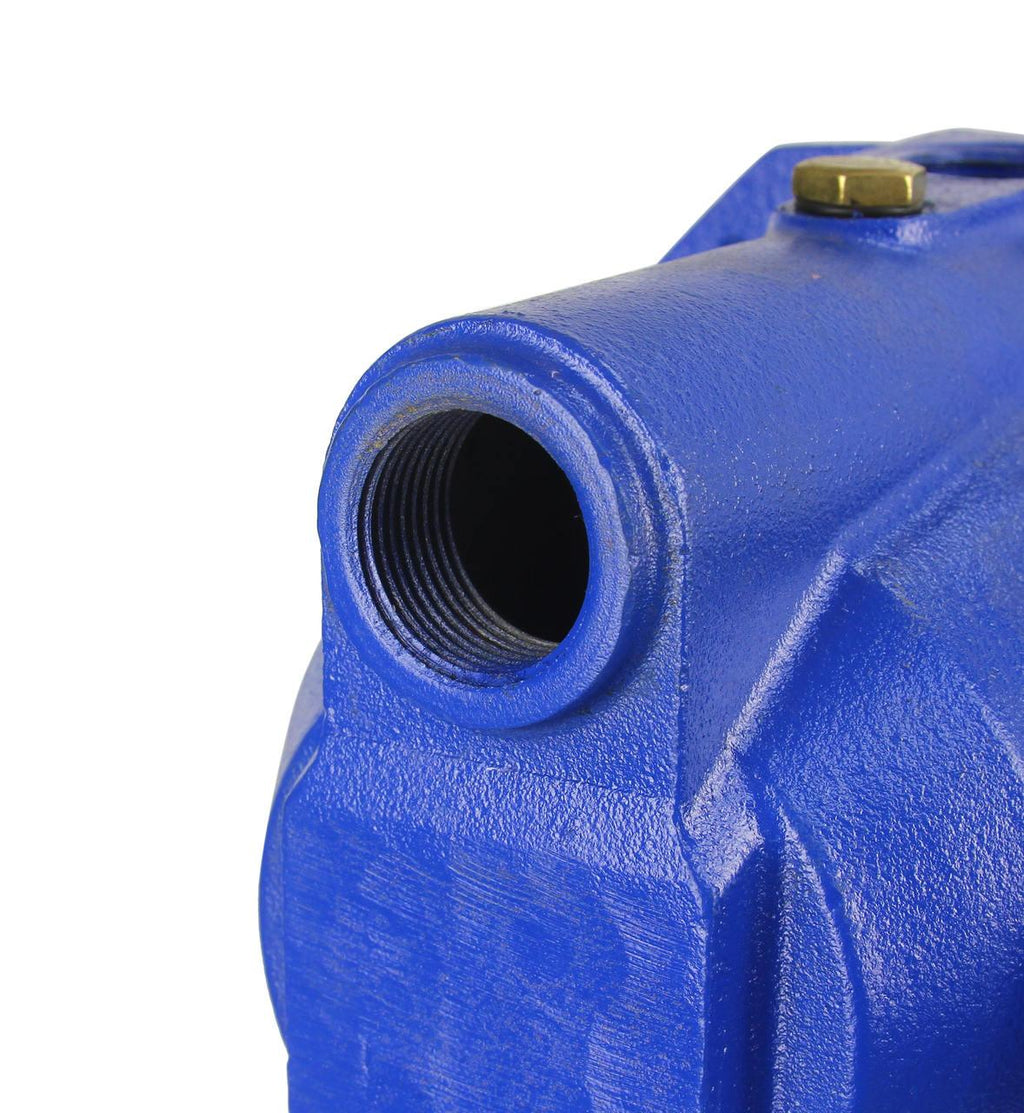 Hidrofor 24 litri 1000 W - Bjc tools