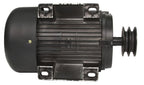 Motor Trifazat Y112M-2 5,5CP 2880 rpm - Bjc tools