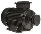 Motor Trifazat Y112M-2 5,5CP 2880 rpm - Bjc tools