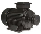 Motor trifazat Y132M-2,10 CP 2940 rpm 380V
