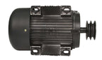 Motor trifazat Y132M-2,10 CP 2940 rpm 380V