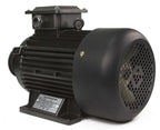 Motor trifazat Y132M-2,10 CP 2940 rpm 380V